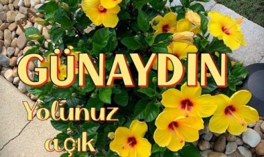 hayatın tüm güzellikleri sizinle olsun