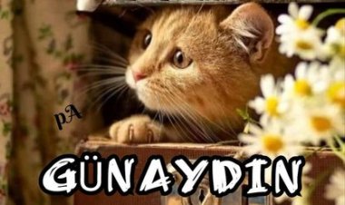 Umut oldukça. her yeni gün hayata taze Bir başlangıçtır