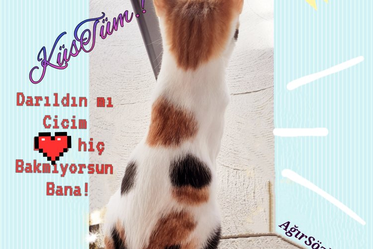 KüSTüm- BaRışaLıM