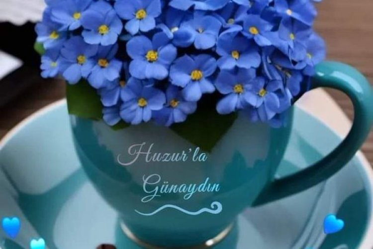 Her Sabah Yeniden BaşLıyor