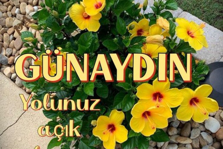 hayatın tüm güzellikleri sizinle olsun