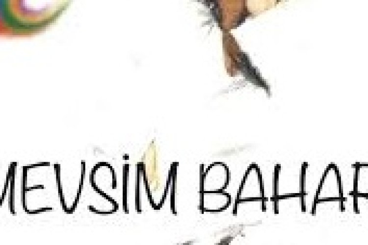 Nilüfer Örer - Mevsim Bahar Şarkı Sözleri
