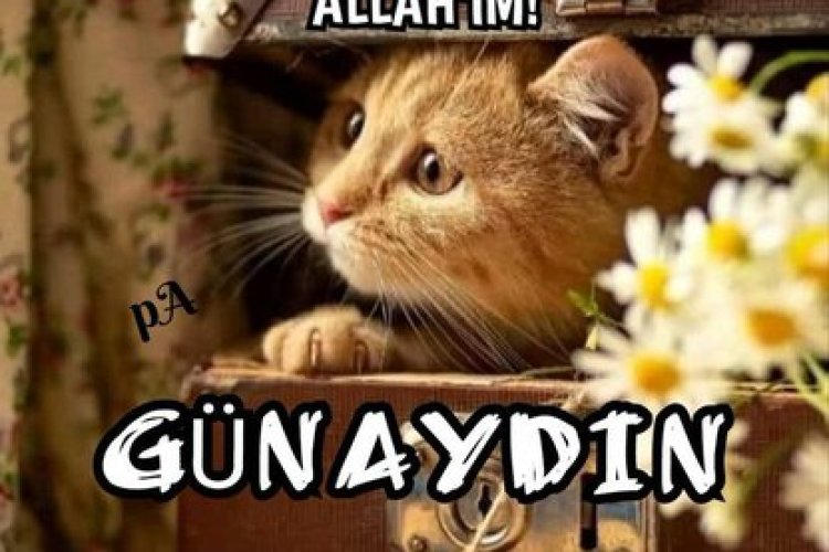 Umut oldukça. her yeni gün hayata taze Bir başlangıçtır
