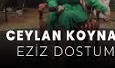 Ceylan Koynat - Eziz Dostum şarkı sözleri