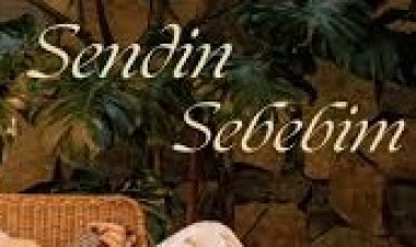 Ayça Özefe - Sendin Sebebim Şarkı Sözleri