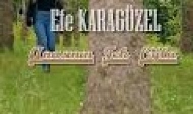 Efe Karagüzel - Anasının Tek Oğlu şarkı sözleri