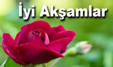 İyi akşamlar sabırlılar