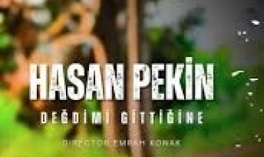 Hasan Pekin - Değdimi Gittiğine şarkı sözleri