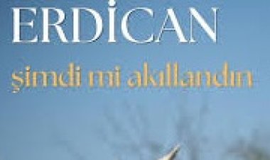 Erdican - Şimdi Mi Akıllandın şarkı sözleri