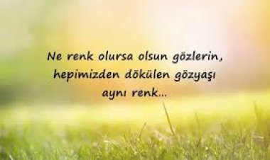 özlü sözler ve yazarları