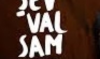 Şevval Sam - Hele Bi Gel şarkı sözleri