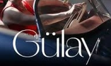 Gülay - Ne İşin Var şarkı sözleri