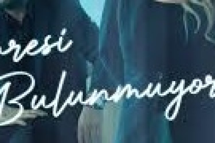Bizim Gönül - Davut Güloğlu Çaresi Bulunmuyor