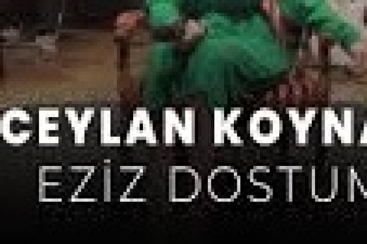 Ceylan Koynat - Eziz Dostum şarkı sözleri