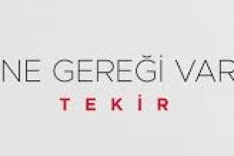 Tekir - Ne Gereği Var Şarkı Sözleri