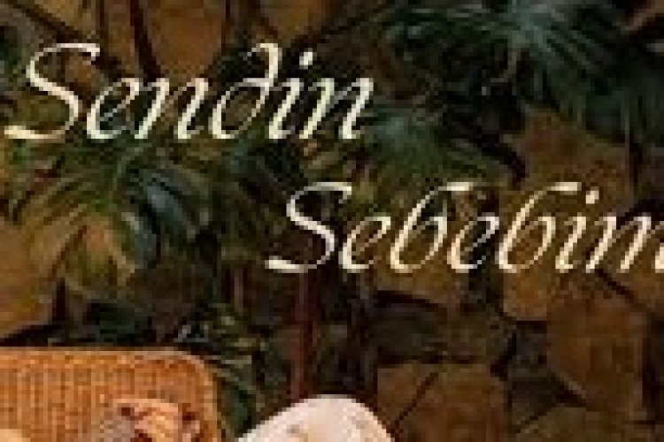 Ayça Özefe - Sendin Sebebim Şarkı Sözleri