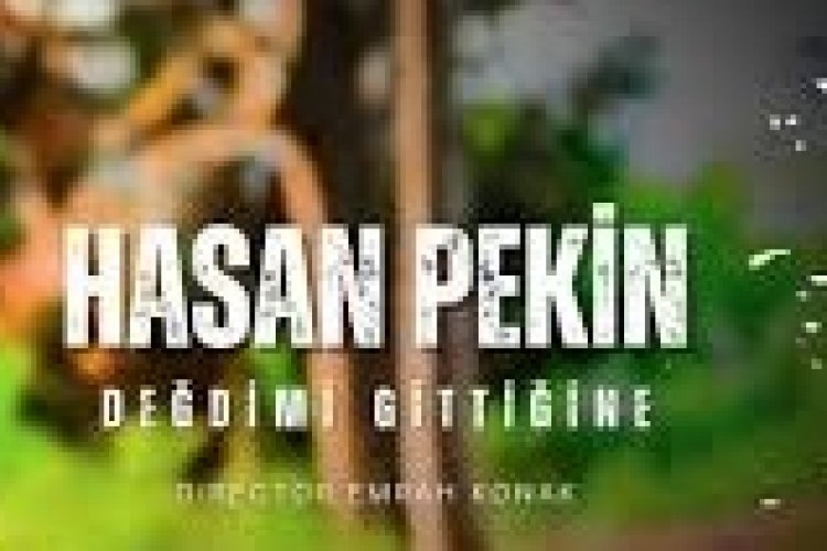 Hasan Pekin - Değdimi Gittiğine şarkı sözleri