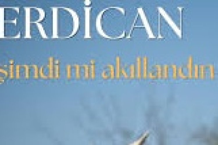 Erdican - Şimdi Mi Akıllandın şarkı sözleri