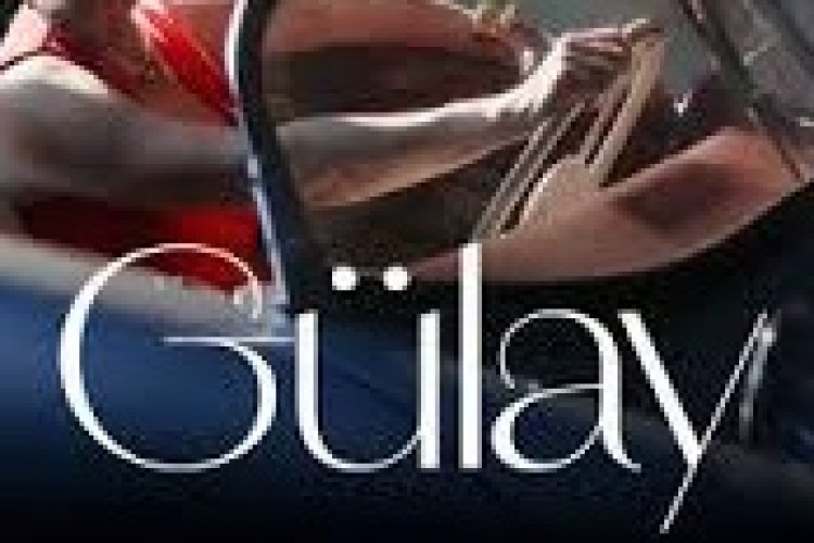 Gülay - Ne İşin Var şarkı sözleri