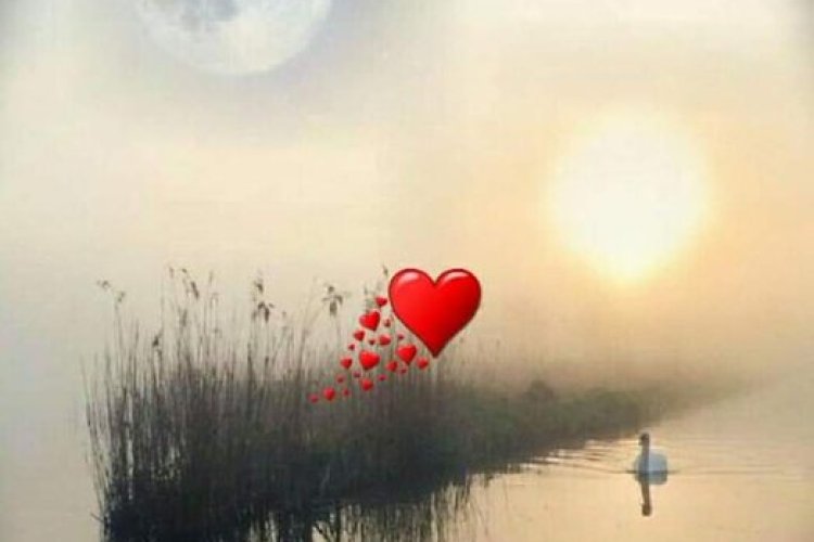 Karınca yuvası gibi kalplerimiz var