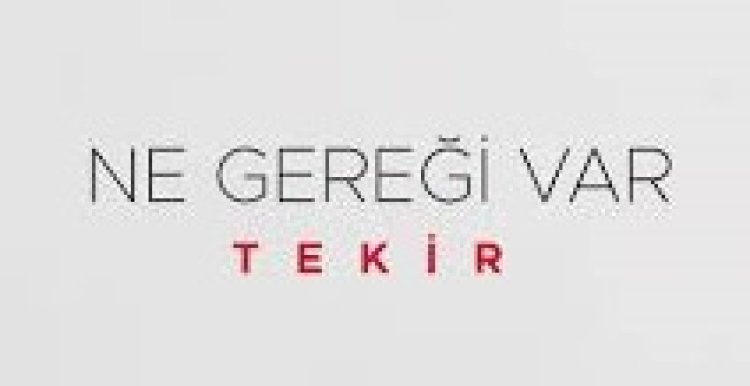 Tekir - Ne Gereği Var Şarkı Sözleri