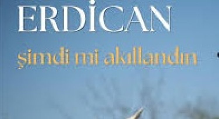 Erdican - Şimdi Mi Akıllandın şarkı sözleri