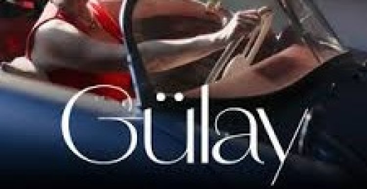 Gülay - Ne İşin Var şarkı sözleri