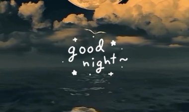 Mutlu ve keyifli bir akşam diliyorum