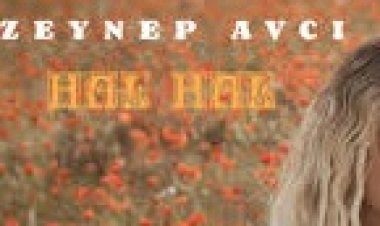 Zeynep Avcı - Hal Hal şarkı sözleri