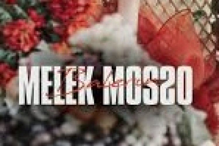 Melek Mosso - Balerin şarkı sözleri
