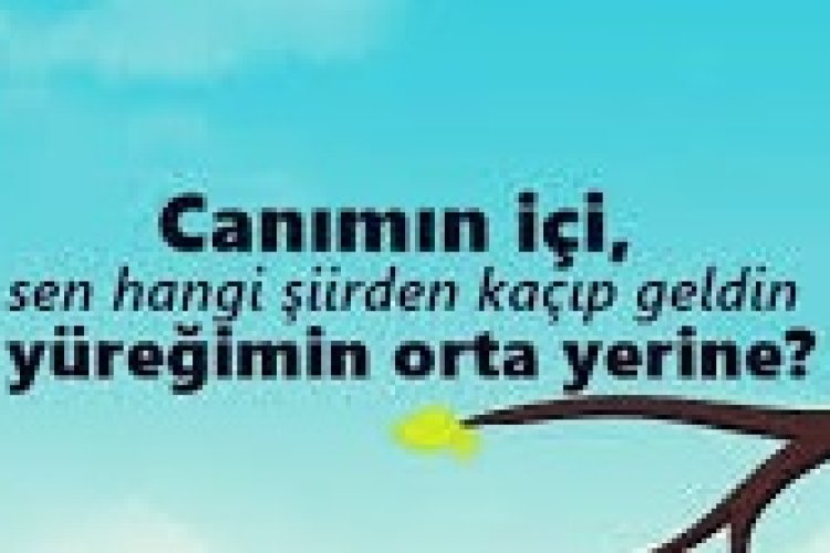 en etkili aşk mesajları