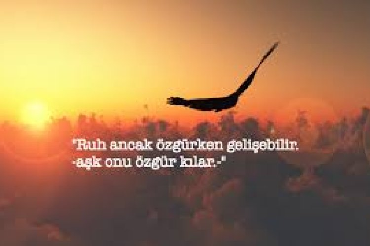 aşk ve özgürlük sözleri