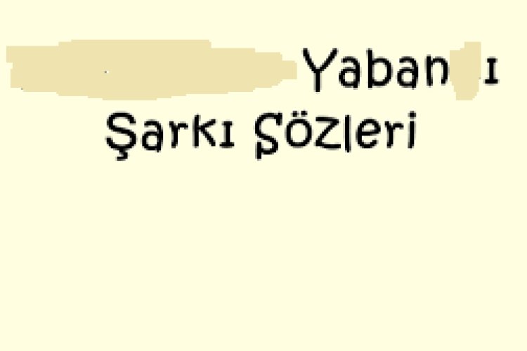 DERYA ULUĞ - YABANİ şarkı sözleri