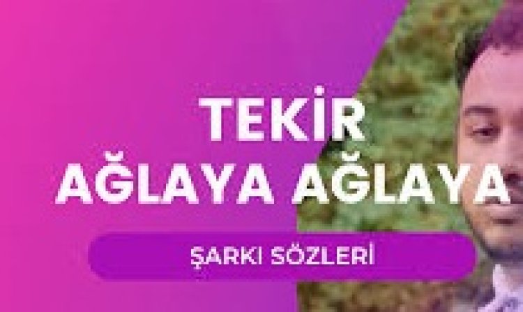 Tekir - Ağlaya Ağlaya şarkı sözleri