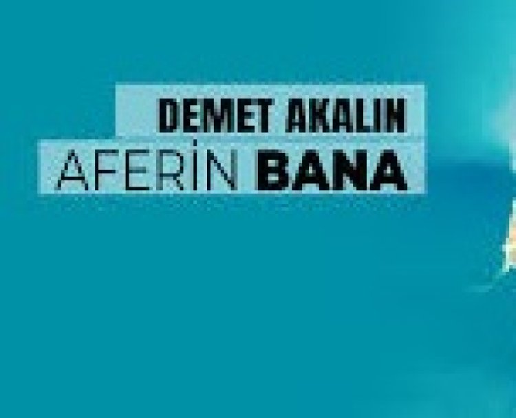 Demet Akalın - Aferin Bana şarkı sözleri