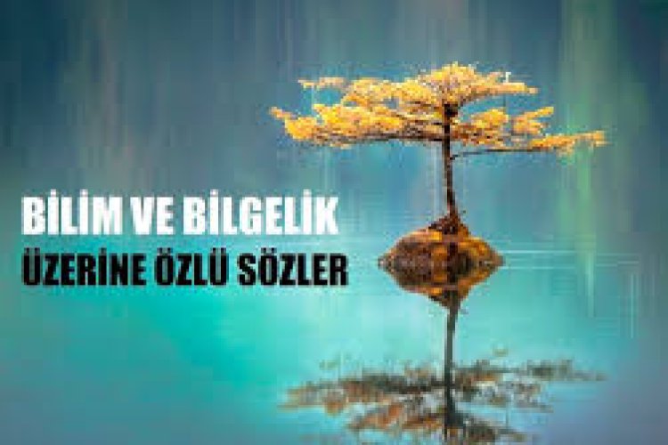 anlamlı bilge sözler