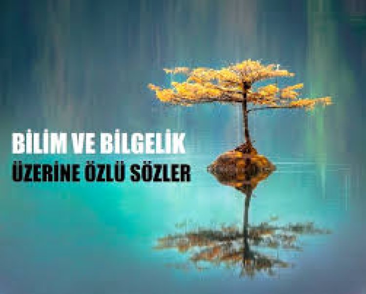 anlamlı bilge sözler