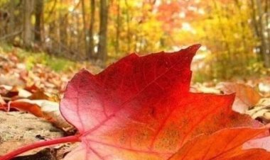 Eylül her şehre yakışır