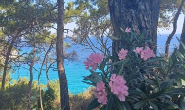 Seni hep baktığım yerde bulamayınca