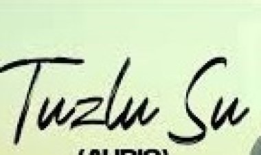 Soner Sarıkabadayı - Tuzlu Su şarkı sözleri