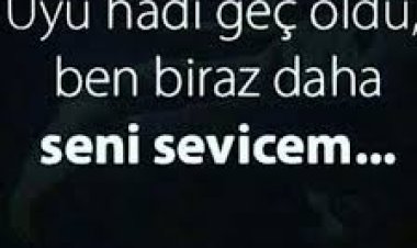 inandırıcı sözler