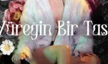 Vildan Demir - Yüreğin Bir Taş şarkı sözleri