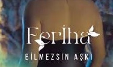 Feriha - Bilmezsin Aşkı şarkı sözleri