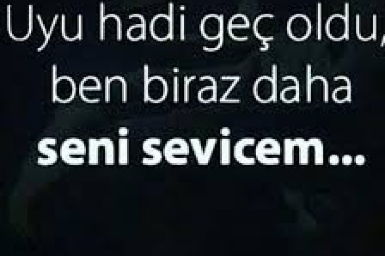 inandırıcı sözler