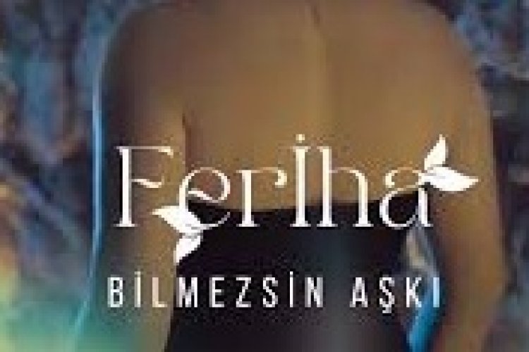 Feriha - Bilmezsin Aşkı şarkı sözleri