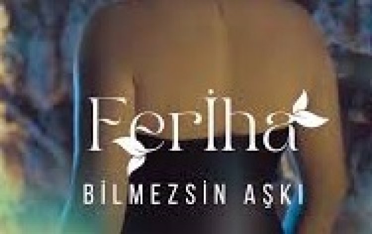 Feriha - Bilmezsin Aşkı şarkı sözleri