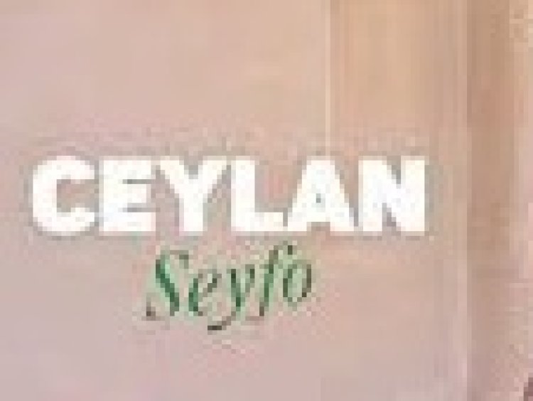 Ceylan - Seyfo şarkı sözleri