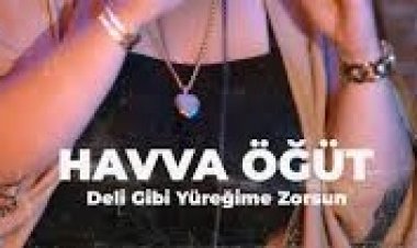Havva Öğüt - Deli Gibi Yüreğime Zorsun şarkı sözleri
