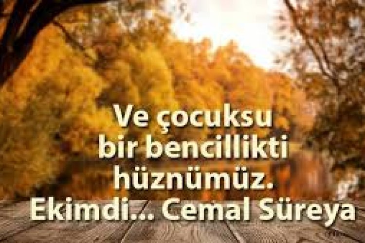 Ekim Sözleri
