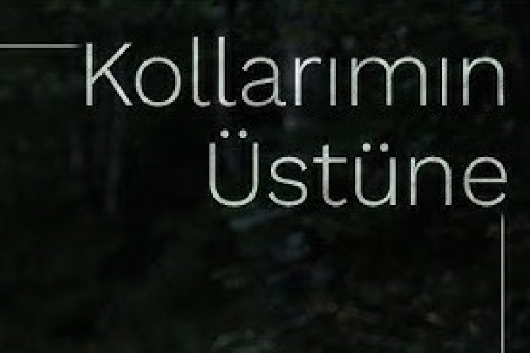 Onay Şahin - Kollarımın Üstüne şarkı sözleri